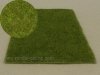 Model scene F011 Wetland middle